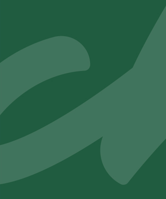 Bereikbaarheid Schut tijdens Sail (20-8 tot en met 24-8)